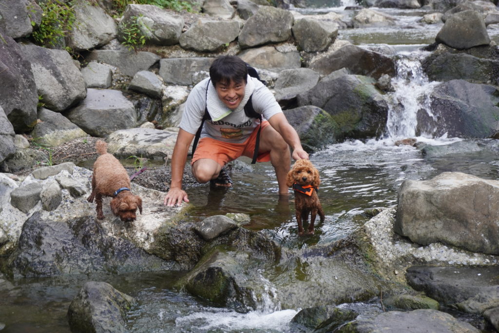 気軽に川遊び Seasonsのワンコ達も大喜び 酪農の里 ワンコのお家 うち Seasons 千葉南房総市 q With Dogs Pet Hotel Dog Training